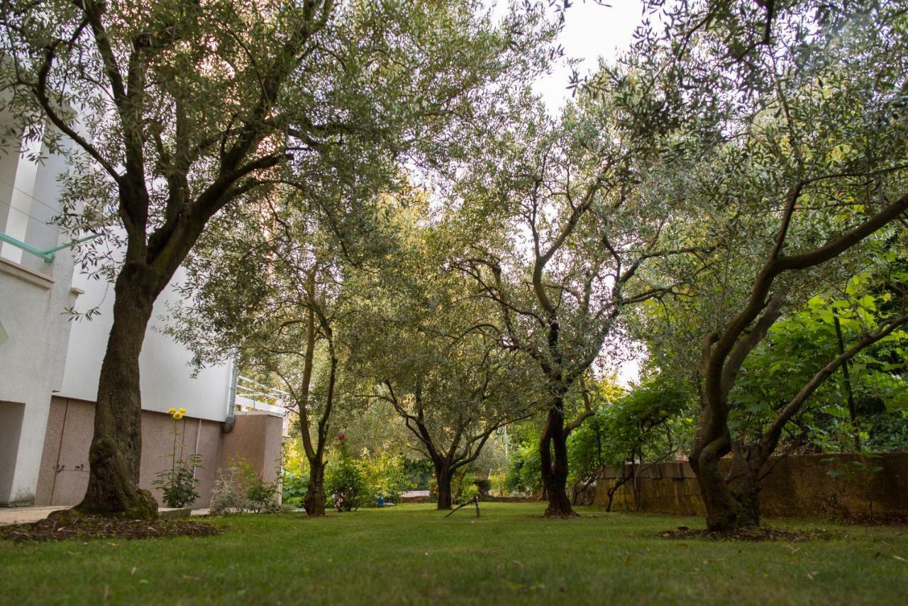 Apartments Villa Lena Zadar Exterior photo